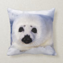 Suche nach harfe kissen Niedlich