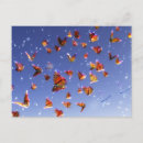 Recherche de papillon de monarque cartes postales Orange et noir