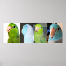Suche nach pazifisch poster Grün