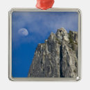 Suche nach tageslicht ornamente Mond
