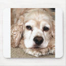 Recherche de collègues tapis souris Pavé de souris