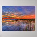 Suche nach florida poster Himmel