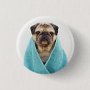 Recherche de carlins badges Drôle