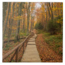 Suche nach herbst fliesen Weg