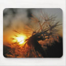 Recherche de macro tapis souris Photographie