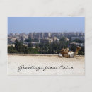 Suche nach kamel foto postkarten Fotografie