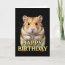 Suche nach schwarzer hamster Tier