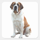 Recherche de bernards autocollants Dog