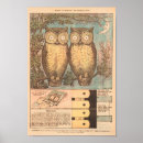 Suche nach braune eule poster Für kinder