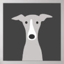 Recherche de whippet dog posters Greyhound