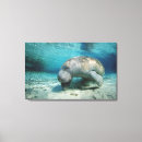 Recherche de vie marine art Biologie