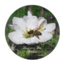 Recherche de abeille planches à découper De pendaison de crémaillère