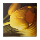 Suche nach romantik fliesen Für sie