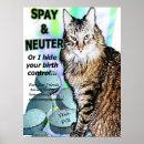Suche nach spay poster Katzen