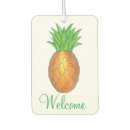 Recherche de fruits voiture accessoires Tropical