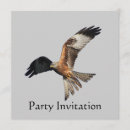 Recherche de rapace invitations Nature