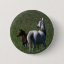 Suche nach stute und fohlen buttons Stutenfohlen