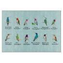 Recherche de colibris planches à découper Oiseau