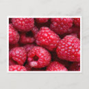 Recherche de framboise cartes postales Rouge