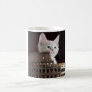 Recherche de image mignonne de minou Chat