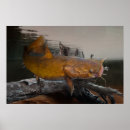 Suche nach wels poster Fische
