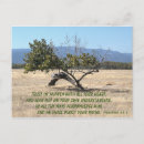 Recherche de souci cartes postales Foi