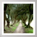 Suche nach olivenbaum poster Blätter