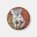 Recherche de marsupiaux magnets Mignon