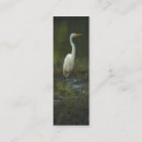 Suche nach wild lebende tiere visitenkarten Vögel