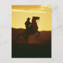Recherche de cheval de cowboy cartes postales Coucher de soleil