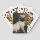 Suche nach puppie Mops