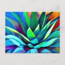 Recherche de agaves cartes postales Succulent