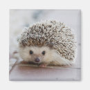 Suche nach entzückend magnete Tiere