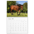 Suche nach pferde kalender Haustiere