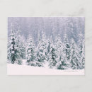 Suche nach schneebedeckte landschaft postkarten Horizontal