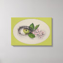 Recherche de oeil art Nature