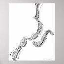 Recherche de illustration musicale posters Musique de feuille
