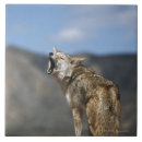 Suche nach fokus fliesen Wild lebende tiere