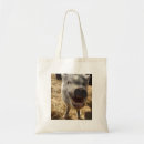 Recherche de porcs sacs Animaux de ferme