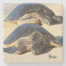Recherche de tortue dessous de verres Île