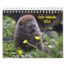 Suche nach animals kalender Niedlich