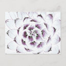 Recherche de agaves cartes postales Feuille