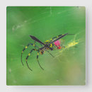 Suche nach spinnen wanduhren Tiere