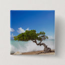 Suche nach aruba buttons Insel