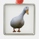 Recherche de ducks ornements Vacances