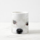 Suche nach niedlicher spitz tassen Kaffee