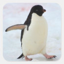 Recherche de faune antarctique autocollants Pingouin