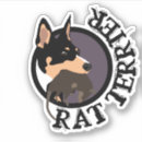 Suche nach weiße ratten autoaufkleber Terrier