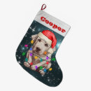 Recherche de labradors chaussette de noël Pour animaux