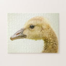 Suche nach gans puzzle Wasservögel